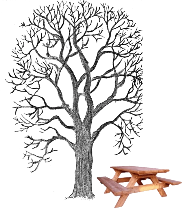 Het andere hout Wood Lärchenholz Cabinet maker Pallet, wood, leaf, branch, monochrome png